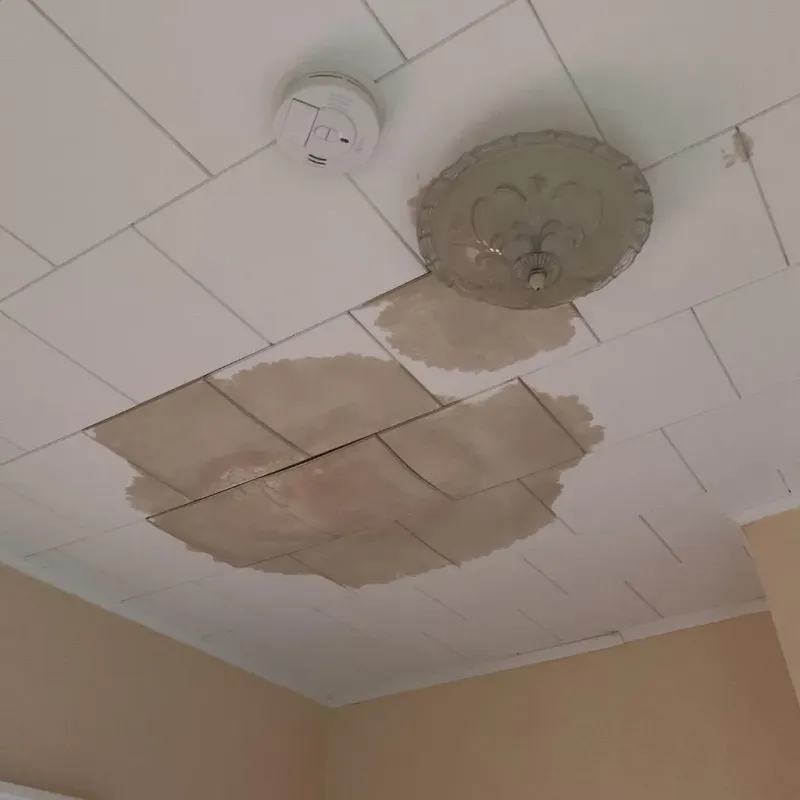 Ceiling Water Damage Repair in Crocker, MO