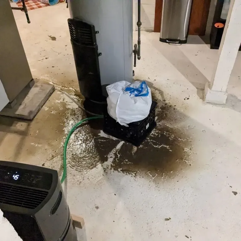 Sewage Backup Cleanup Service in Crocker, MO